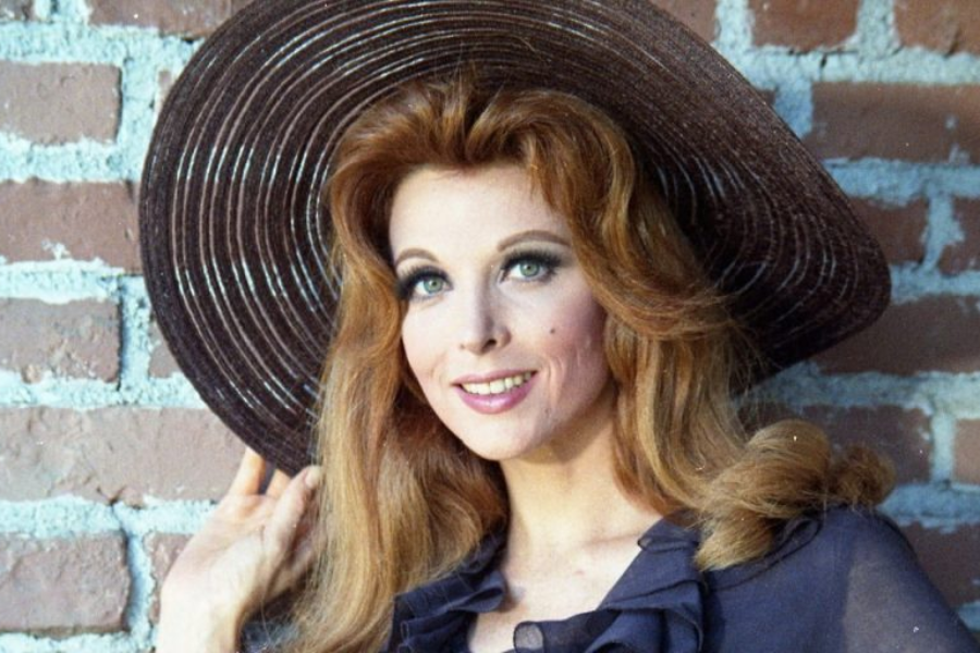 tina louise net worth